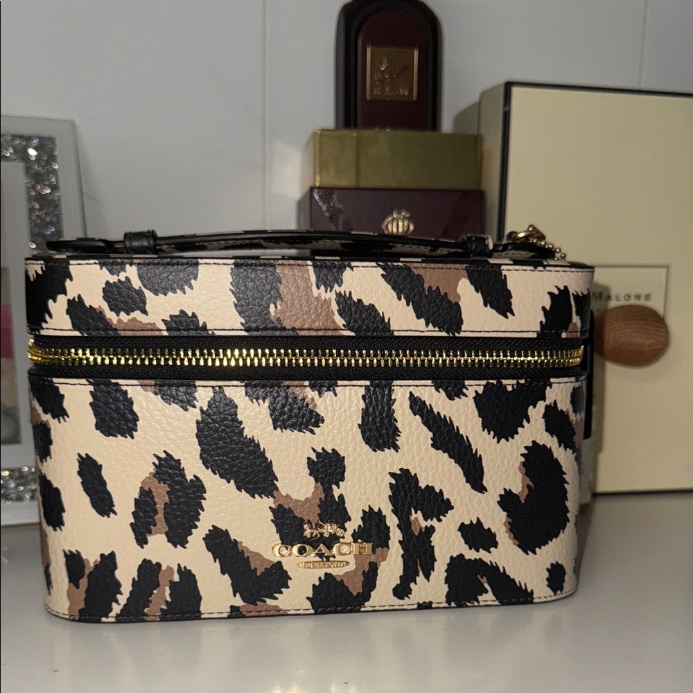 Coach vanity case